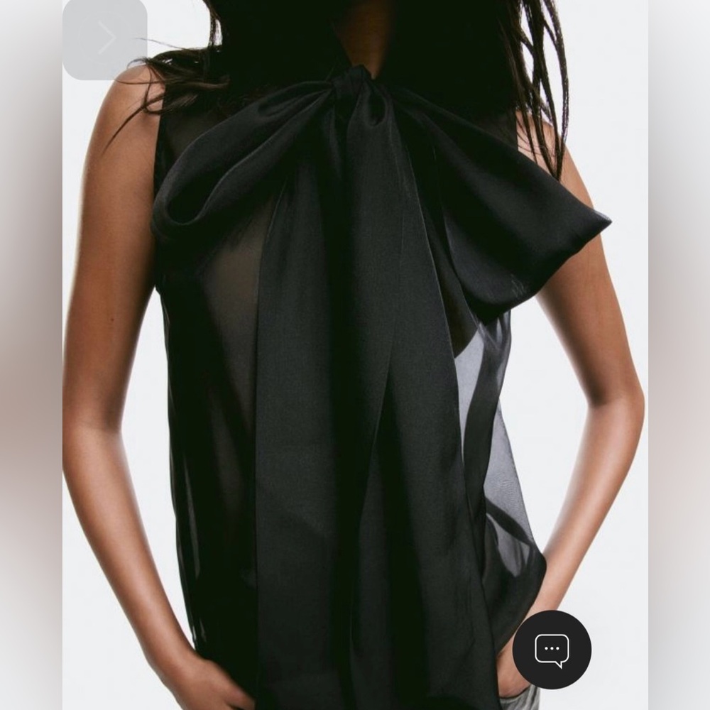 H&M Sheer Tie-neck Blouse with Oversized Bow